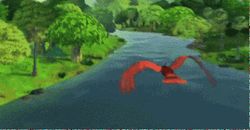 Bird Flying Over River GIF