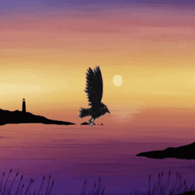 Bird Flying Over Water At Sunset GIF