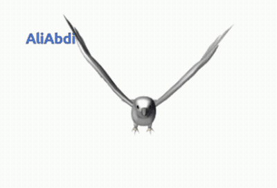Bird Flying With Aliabdi GIF