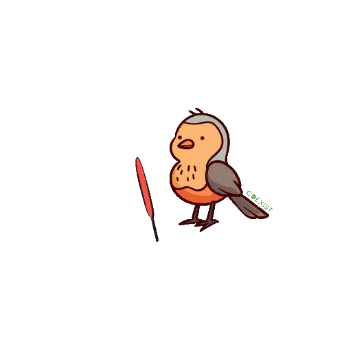 Bird Holding Firework Coexist Sticker