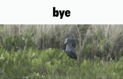 Bird In Field Saying Bye GIF