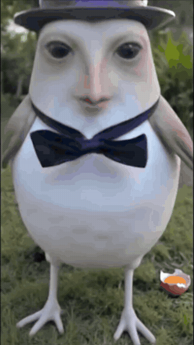 Bird In Hat And Bow Tie GIF