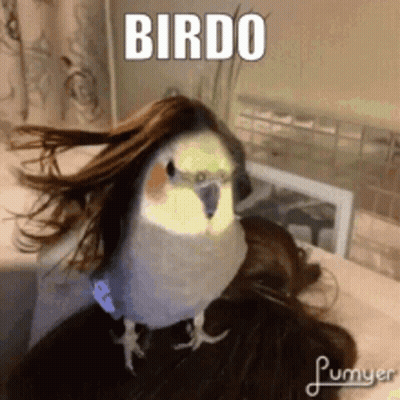 Bird In Wig On Shoulder With Birdo GIF