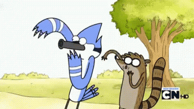 Bird Looking Through Telescope Next To Raccoon GIF