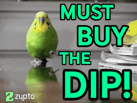 Bird Must Buy The Dip GIF