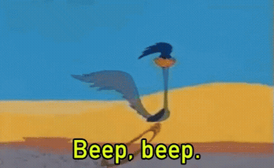 Bird Next To Cactus Beep Beep GIF