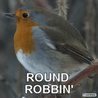 Bird On Branch Saying Round Robbin GIF