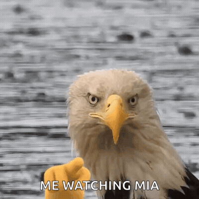 Bird On Branch Says When Someone Asks For Eagle GIF