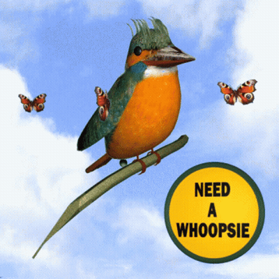Bird On Branch With Need A Whoopsie Sign GIF