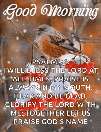 Bird On Branch With Psalm 34 Quote GIF