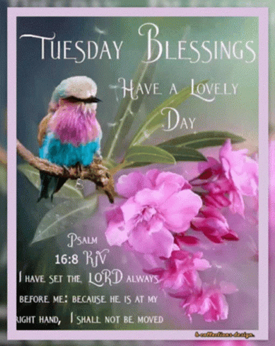 Bird On Branch With Purple Flowers Tuesday Blessings Have A Lovely Day GIF