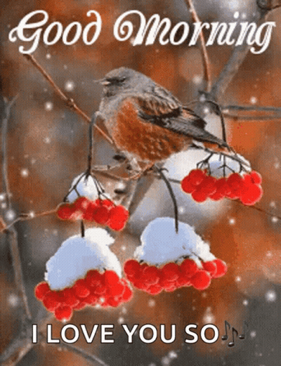 Bird On Snowy Branch Saying Good Morning I Love You So GIF