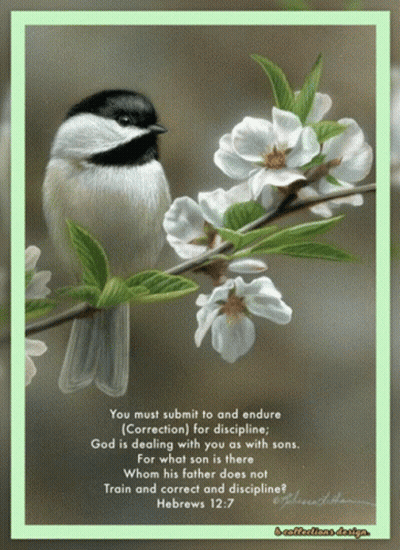 Bird Perched On Flower Branch With Bible Verse GIF