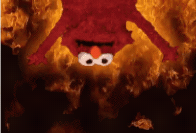 Bird Saying Don't Even Joke Lad GIF