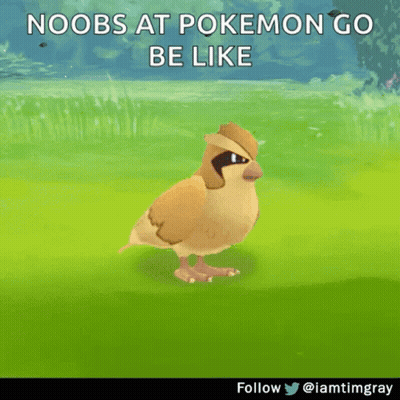 Bird Saying Noobs At Pokemon Go Be Like GIF