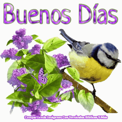 Bird Sitting On Branch With Purple Flowers GIF