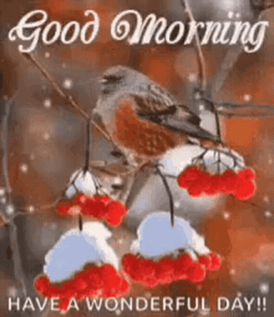 Bird Sitting On Branch With Red Berries And Snow GIF