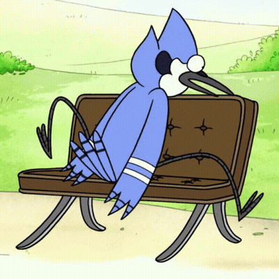Bird Sitting On Park Bench GIF