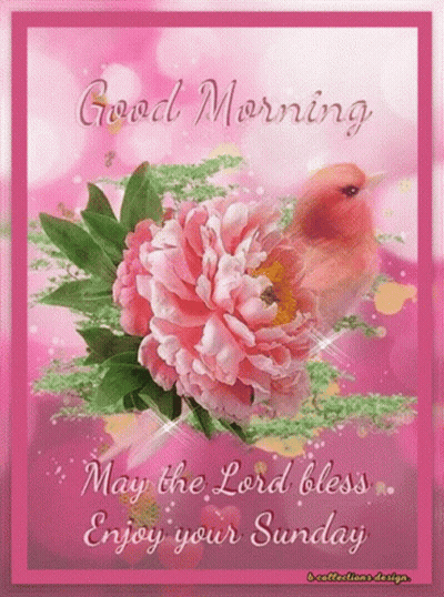 Bird Sitting On Pink Flower GIF