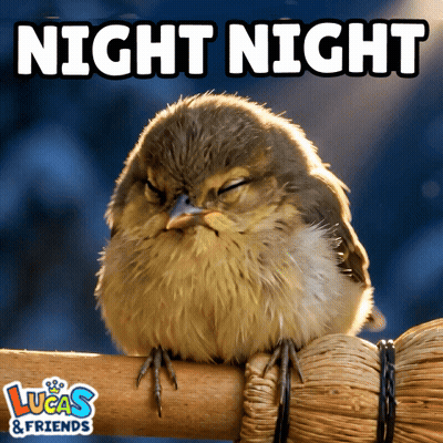Bird Sitting On Wicker Post Saying Night Night GIF