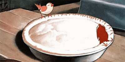 Bird Standing On Bowl Of Milk GIF