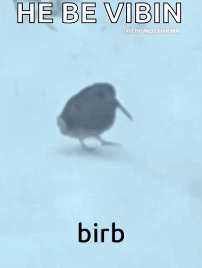 Bird Standing On Snowy Surface Saying He Be Vibin Birb GIF