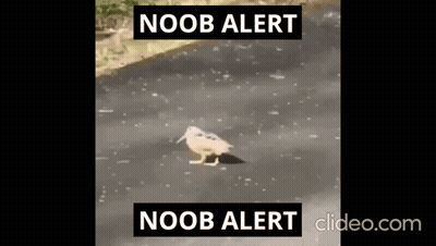 Bird Walking Down Road Saying Noob Alert GIF