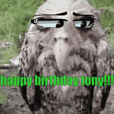 Bird Wearing Sunglasses Saying Happy Birthday GIF