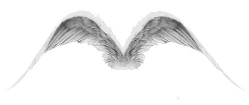 Bird Wings With Lonely Sticker