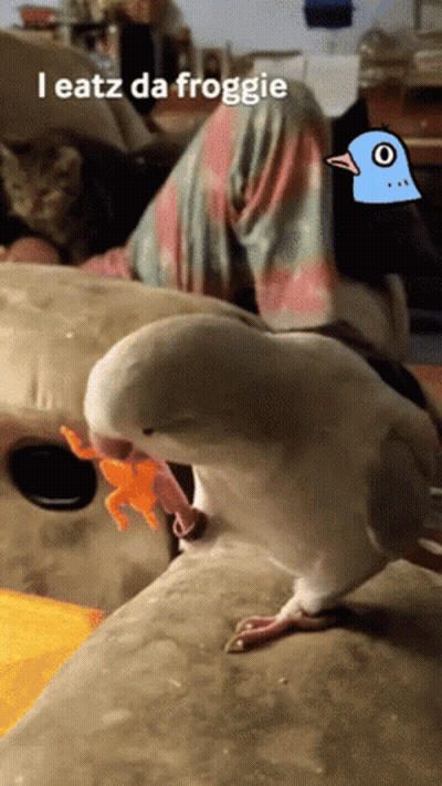 Bird With Frog And Text I Eatz Da Froggie GIF