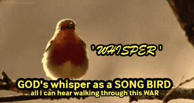 Bird With God's Whisper As A Song Bird All I Can Hear Walking Through This War GIF