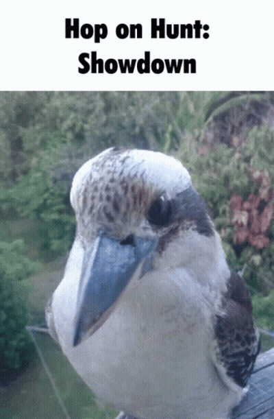 Bird With Hop On Hunt Showdown GIF