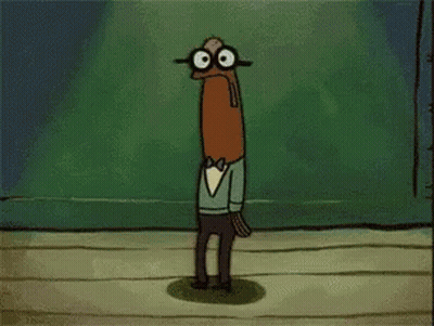 Bird With Long Beak Looking At Camera GIF