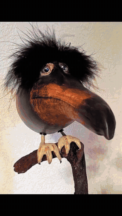Bird With Long Beak Sitting on Branch
