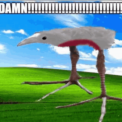 Bird With Long Legs Standing In Field GIF
