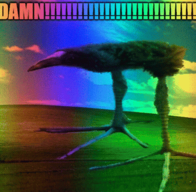 Bird With Rainbow Background Saying Damn GIF
