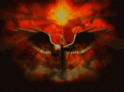 Bird With Wings Spread In Cloudy Sky GIF