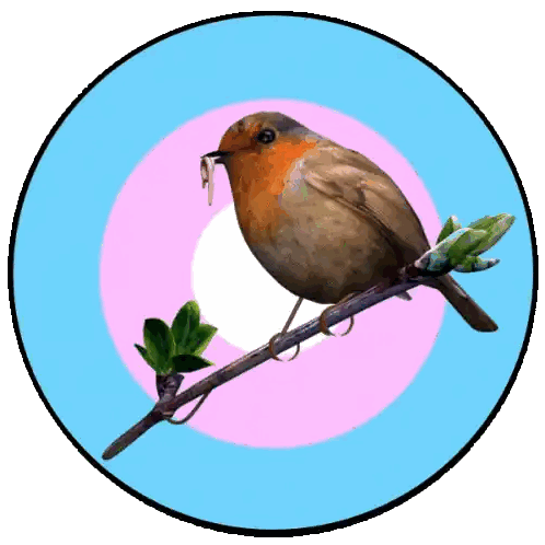 Bird With Worm In Beak Sticker