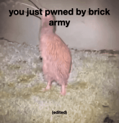 Bird You Just Pwned By Brick Army GIF