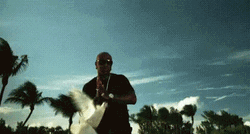 Birdman GIF
