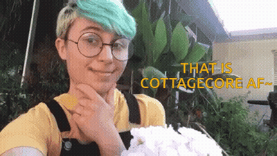 Birds Flying Over Rainbow Flowers GIF