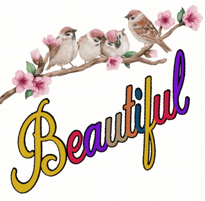 Birds On A Branch Saying Beautiful GIF