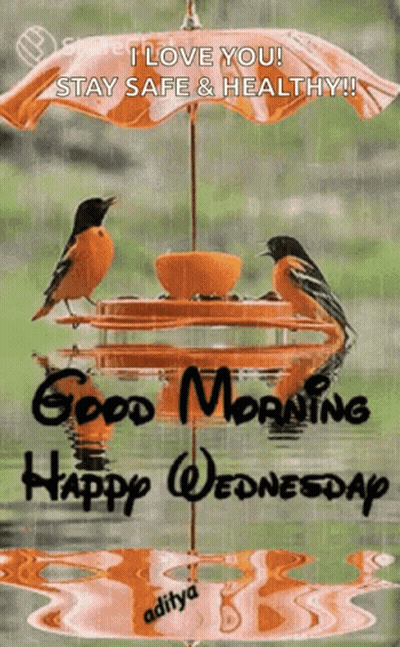 Birds On Bird Feeder Good Morning Happy Wednesday GIF