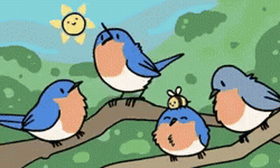 Birds On Branch With Bee GIF