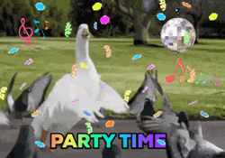 Birds Party Time Dancing With Confetti Animation GIF