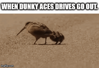Birds Standing Together Saying When Dunky Aces Drives Go Out GIF