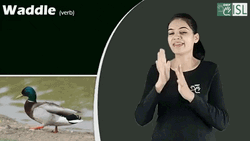 Birds Waddle Sign Language