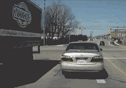 Birthday Balloons Car Crash GIF