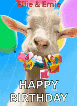 Birthday Cake GIF
