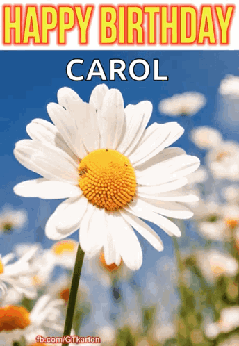 Birthday Card For Carol With White Daisy GIF